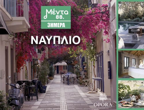 ΜΕΝΤΑ 3ΗΜΕΡΑ: ΝΑΥΠΛΙΟ